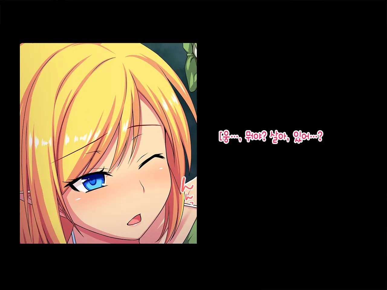 Elf No Otome Aselia ~Ishuzoku Nikubenki No Unmei~